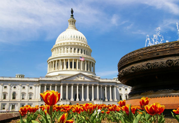 capitol-building-sna-lac-2015