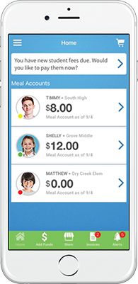 Mobile app | View meal balances